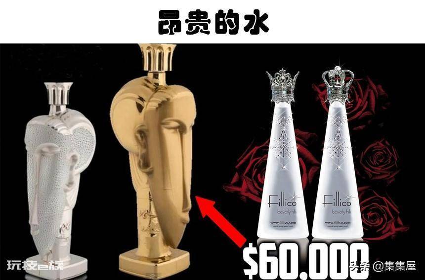 全球最贵的饮料(世界上真实存在的5大非常昂贵的饮料)-图片8